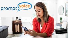 prompt_voice